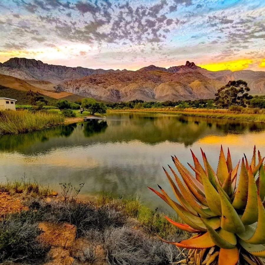 Oaksrest Vineyards Guest Farm Hotel Ladismith Bagian luar foto
