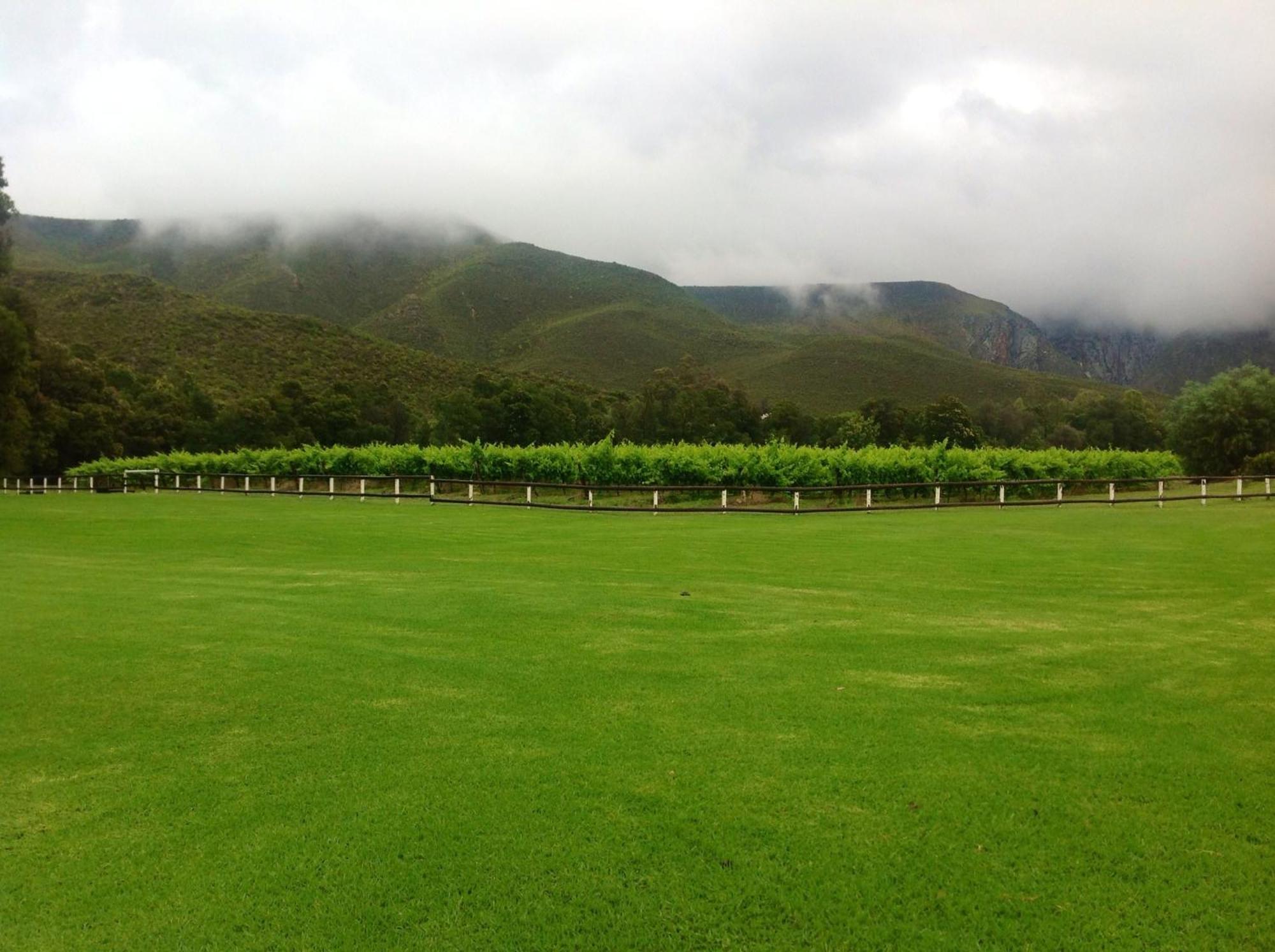 Oaksrest Vineyards Guest Farm Hotel Ladismith Bagian luar foto
