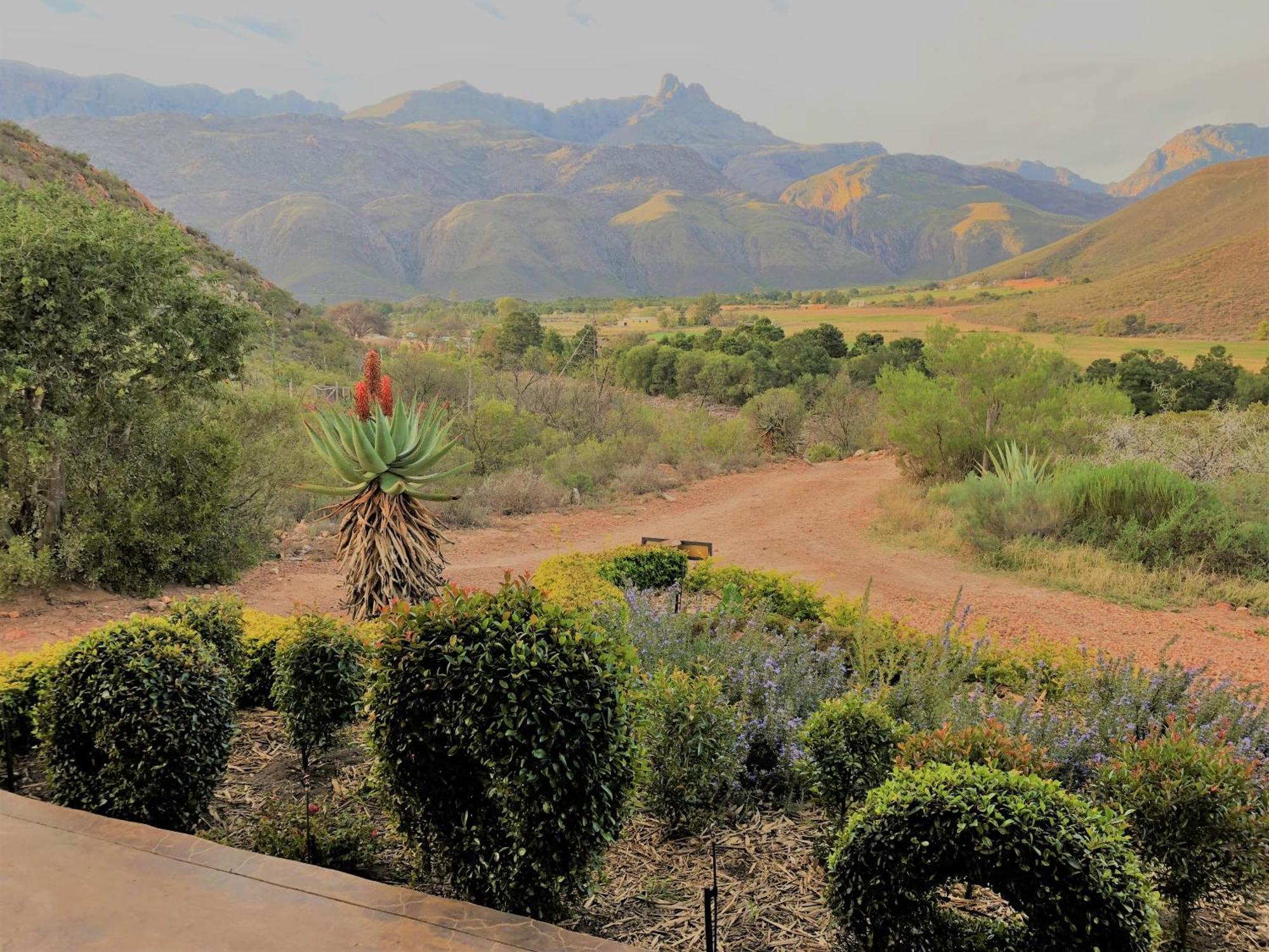 Oaksrest Vineyards Guest Farm Hotel Ladismith Bagian luar foto
