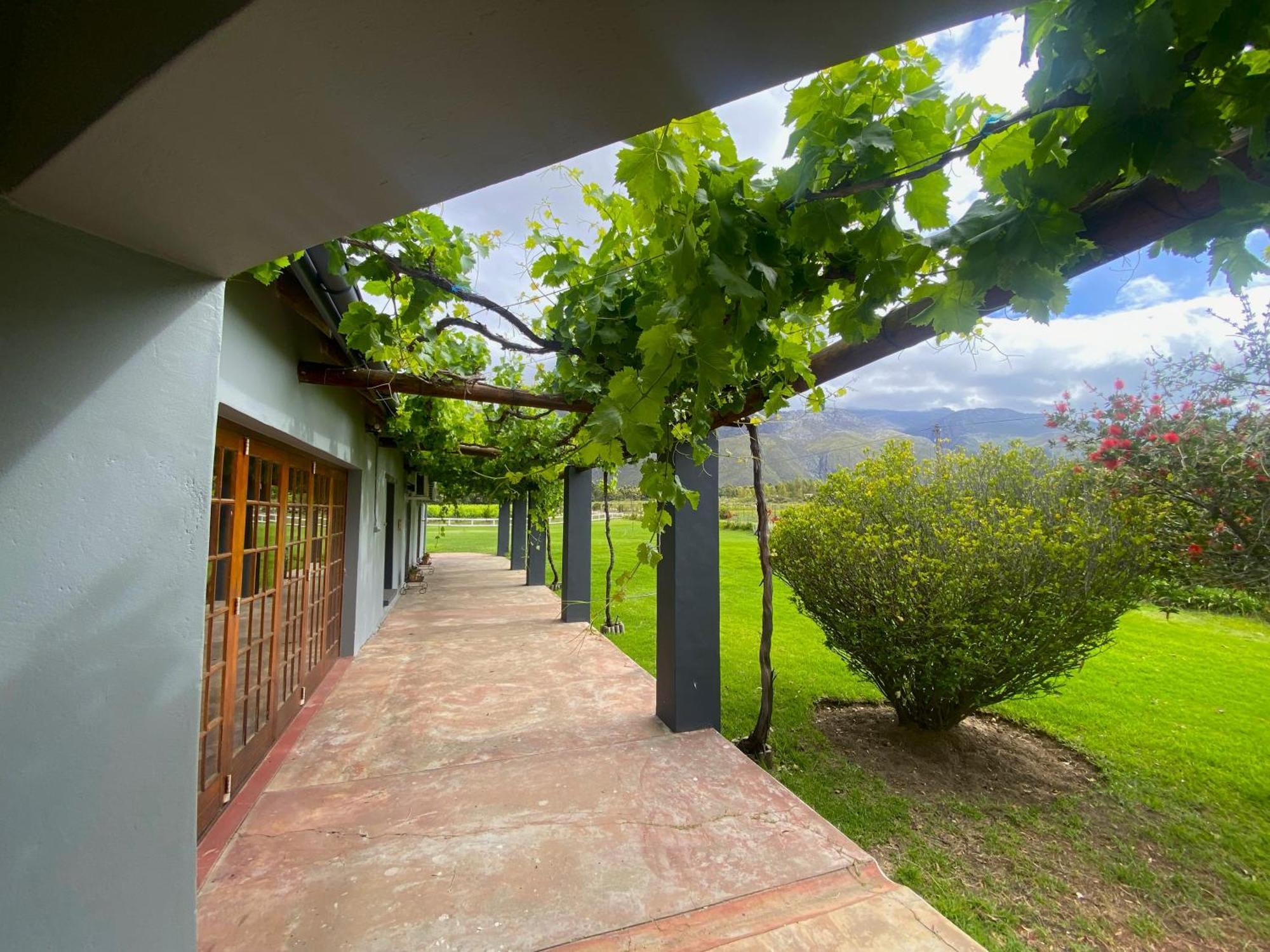 Oaksrest Vineyards Guest Farm Hotel Ladismith Bagian luar foto