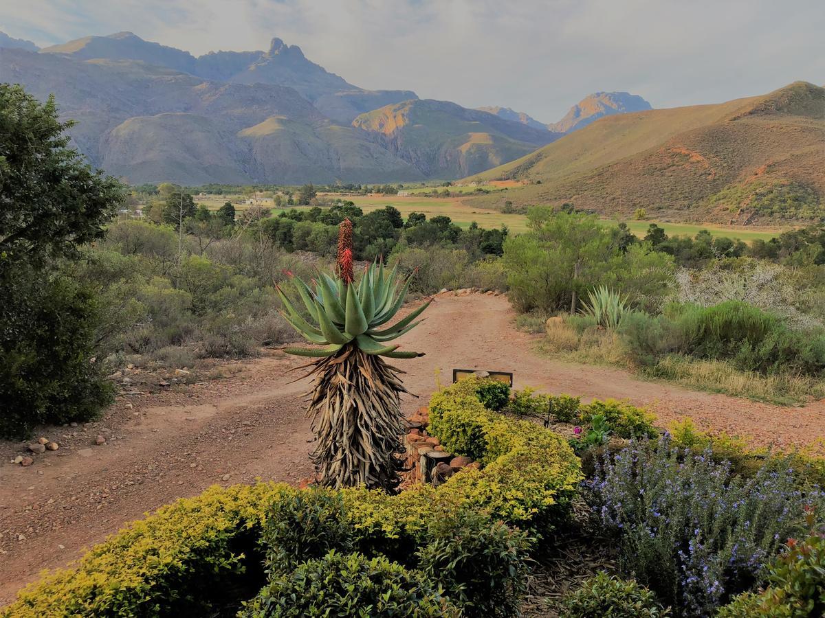 Oaksrest Vineyards Guest Farm Hotel Ladismith Bagian luar foto